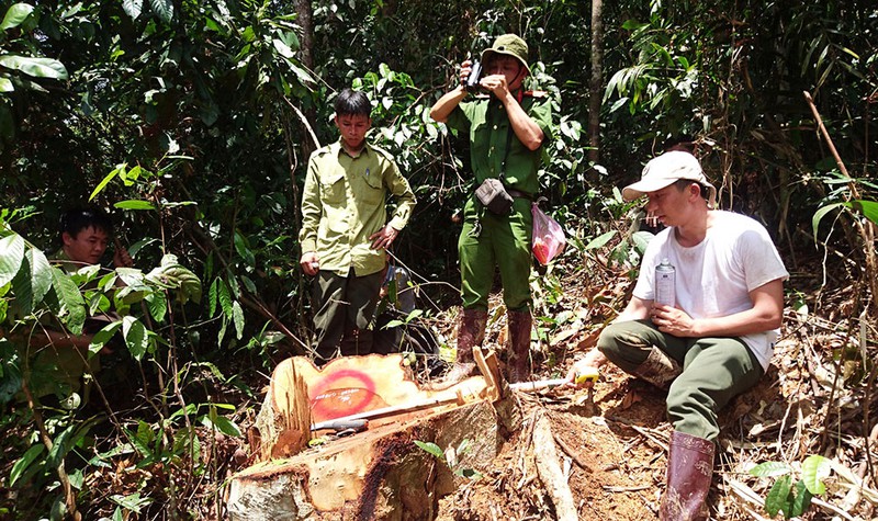 khoi to nguyen giam doc so nong nghiep & ptnt lam dong hinh 1