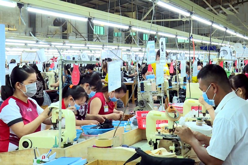 tra vinh: 1.370 lao dong bi cham dut hop dong do anh huong covid-19 hinh 1