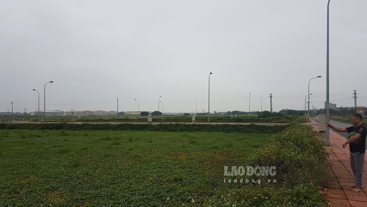 4 can bo thai binh lien quan nguyen xuan duong hinh 2