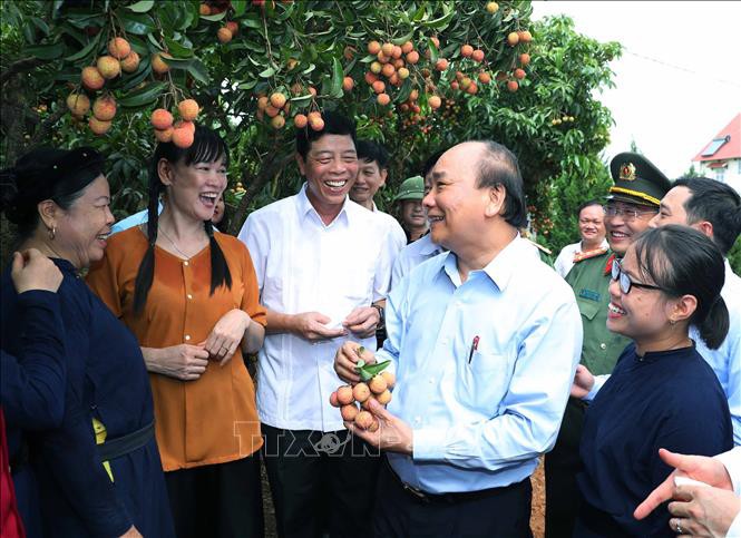 thu tuong du le xuat khau vai thieu sang cac thi truong lon hinh 1