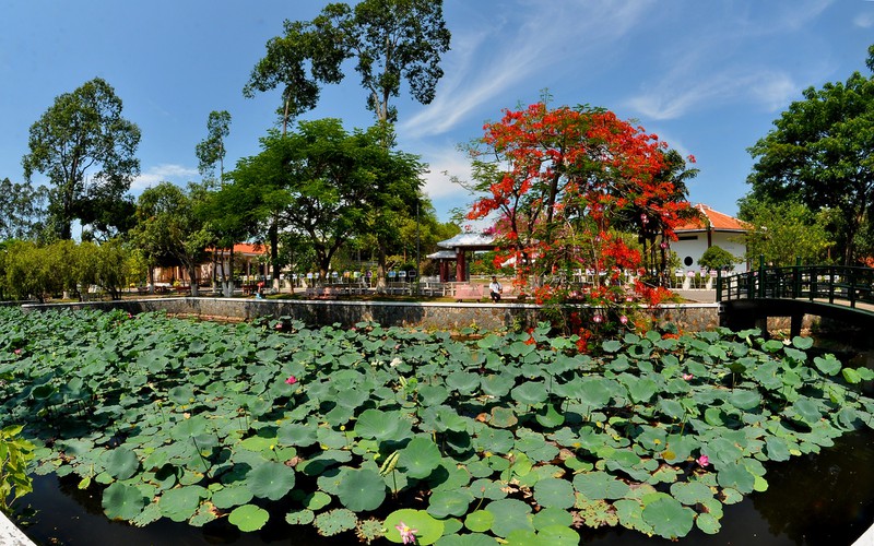 ve cao lanh vieng khu di tich than sinh chu tich ho chi minh hinh 2