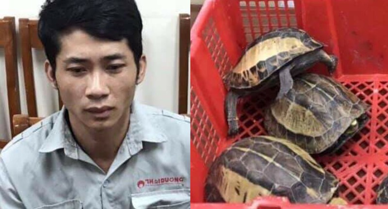 bat doi tuong chuyen buon ban rua quy hiem tai ha noi hinh 1