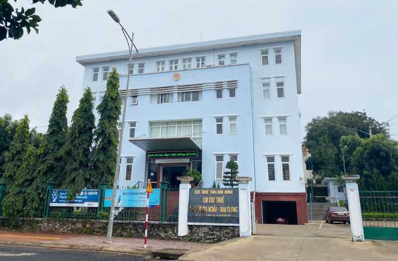 pho doi truong doi quan ly thue bi dinh chi de phuc vu dieu tra hinh 1