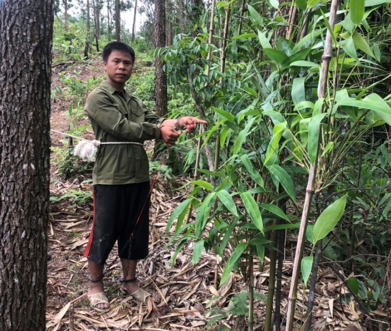 nguoi dan ba ngoai tinh va ke hoach sat hai chong hinh 1