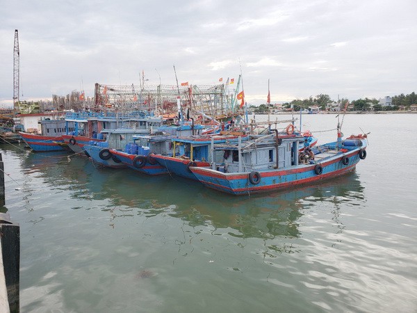 quang nam phat hien mot ngu dan tu vong tren bien hinh 1